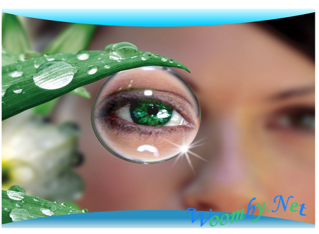 Особенности ферментной очистки «традиционных» средств контактной коррекции зрения